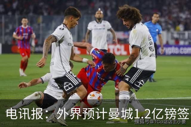 电讯报：外界预计曼城1.2亿镑签安德森 担忧这一价格引发连锁反应